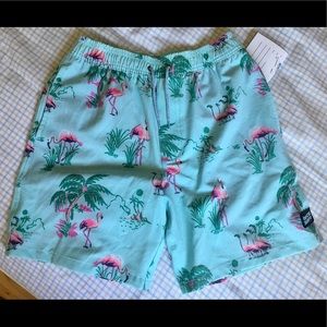Ripcurl Swim Trunks